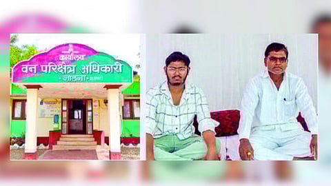 jalna Illegal Tree Felling