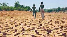 Marathwada drought issue | 
