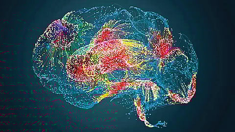 Cellular Aging Study |