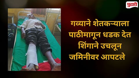 Farmer injured in wild animal attack