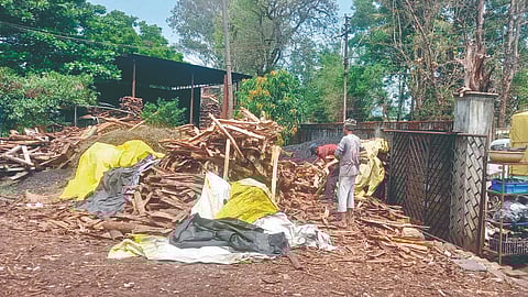 Wood demand by hotels