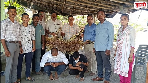 Leopard Skin Seizure Palghar

