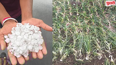 Dhule Unseasonal Rain