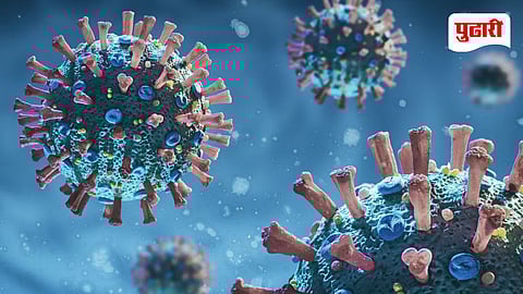 Cicada covid variant BA 3.2