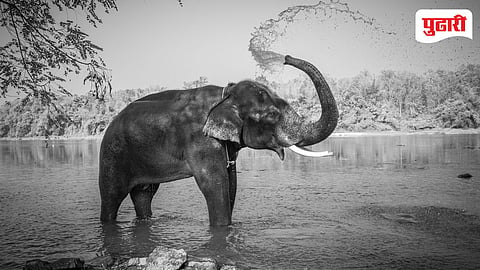 Maharashtra Heatstroke