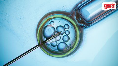Mumbai IVF Treatment