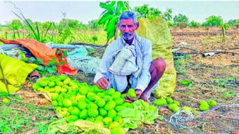 parbhani unseasonal rain