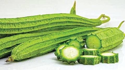 Dodka vegetable benefits |