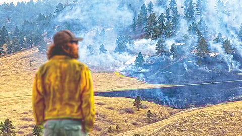 Wildfire spread causes | 