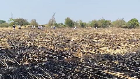 Short Circuit Fire 10 Hectare Crop Loss Dharangaon