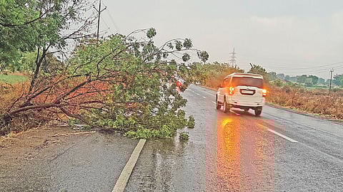 Unseasonal rainfall impact Jalna