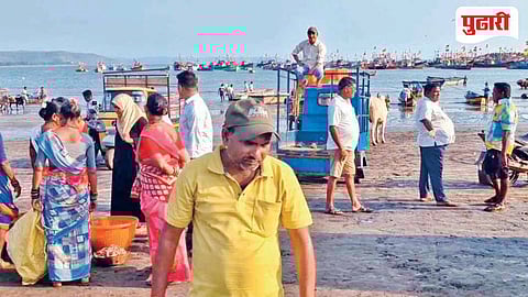 Dapoli Fishing Industry Crisis