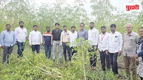 Farmers Demand Compensation