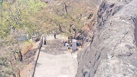 Ajanta Caves bee attack
