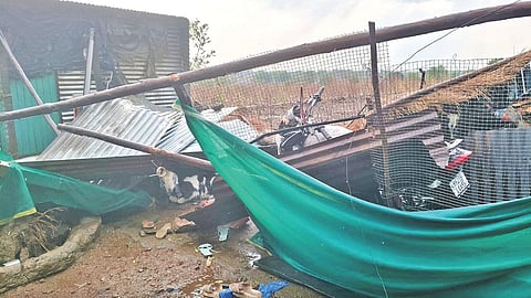 Beed unseasonal rainfall