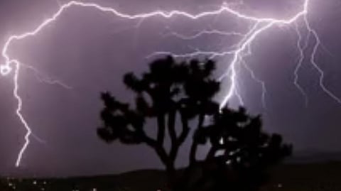 Gadchiroli lightning strike death