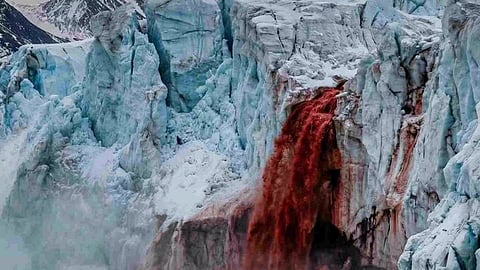 अंटार्क्टिकातील 'रक्ताचा' धबधबा पाहिला आहे का! काय आहे याचे रहस्य? 