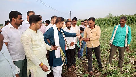 Dhule News | महायुतीचे सरकार शेतकऱ्यांच्या पाठीशी, नुकसानीची भरपाई सरकार देणार; पालकमंत्री जयकुमार रावल