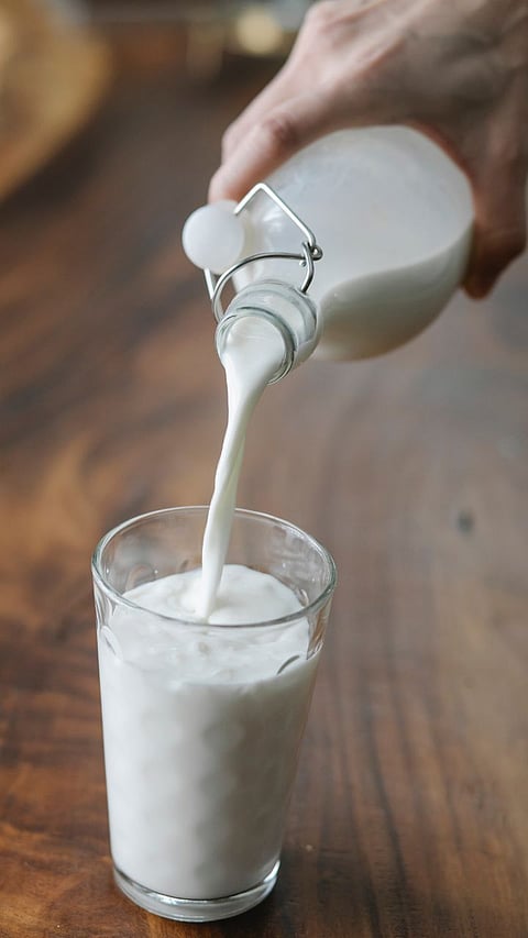 Milk Digestion
