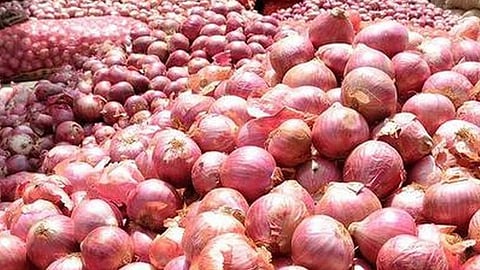 onion