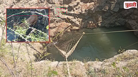 Blackbuck Rescued from Well