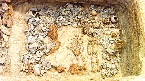 Korea royal sacrifice history | 