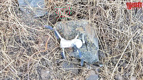 Sambhajinagar Crime News