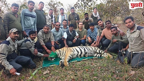 Man Animal Conflict Chandrapur