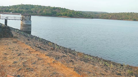 paddy farming water shortage