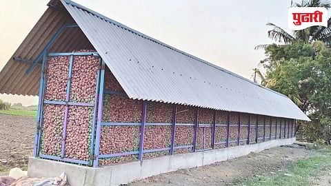 Ambegaon Onion Farmers