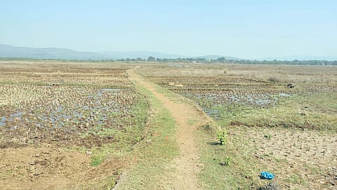 farmer benefit delay