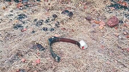 Sahyadri Tiger Reserve