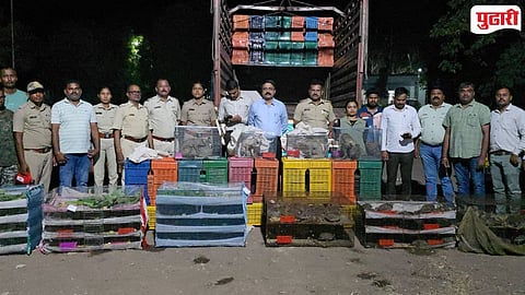 Nandurbar animal  bird smuggling