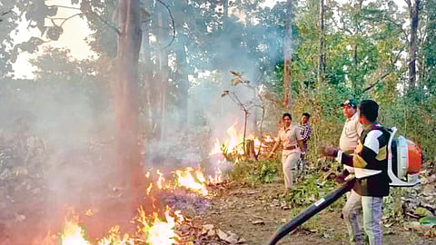 Karnataka wildfire management