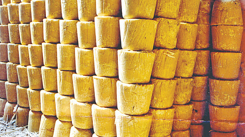 Kolhapur Agricultural Produce Market Committee |