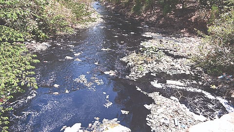 Panchganga river pollution | 
