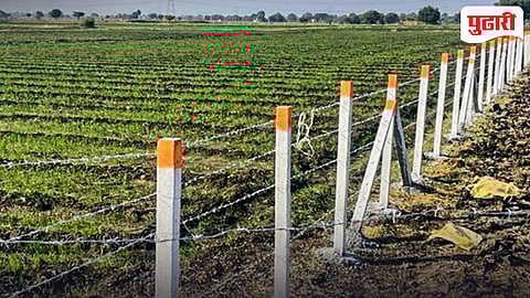 Goa news | कुंपणासाठी शेतकऱ्यांना ५ वर्षांत १० कोटींचे अनुदान