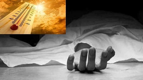 Akola News : अकोल्यात उष्माघाताने एकाचा मृत्यू? ‘अगर वेस’ भागात मालवाहू ऑटोमध्ये आढळला चालकाचा मृतदेह