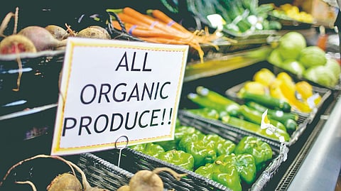 Organic products |