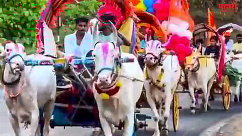 Vajreshwari Devi palkhi festival 