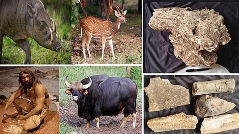 Chandrapur Fossil Discovery 