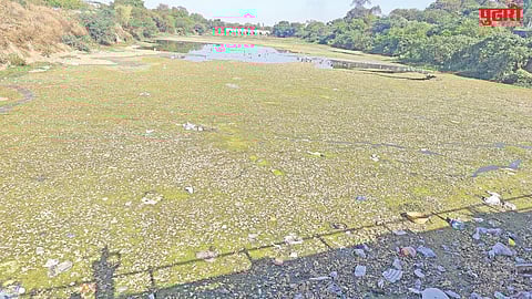 Jalna river pollution