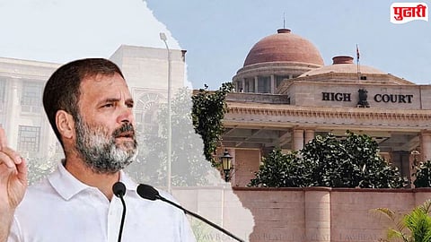 Rahul Gandhi Dual Citizenship : राहुल गांधींच्या अडचणीत वाढ; दुहेरी नागरिकत्व प्रकरणी FIR नोंदवण्याचे हायकोर्टाचे आदेश
