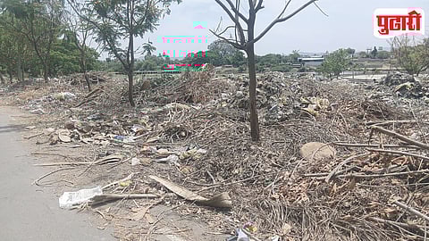 Sangamner Illegal Garbage Dumping