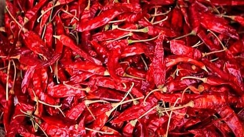 Red chilli price rise |