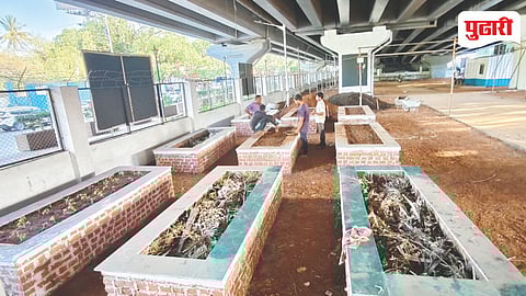 Mumbai Urban Farming