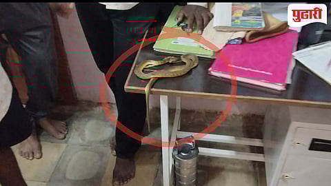 वीज खंडिताला वैतागून नागरिकांनी महावितरण कार्यालयात सोडला साप