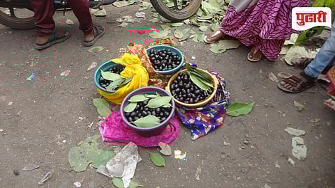 Weather Impact Jamun Crop