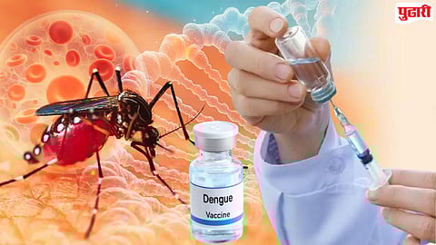 Dengue Vaccine : भारतात डेंग्यूविरुद्धच्या पहिल्या लसीला मंजुरी! 4 ते 60 वयोगटातील व्यक्तींना घेता येणार डोस