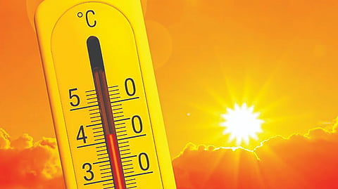 Summer health risks |